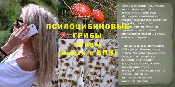 наркотики Абаза