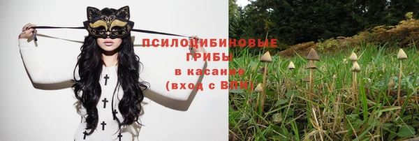 таблы Алексеевка